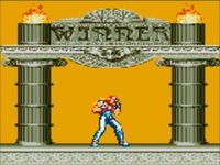 une photo d'Ã©cran de Fatal Fury Special (Game Gear) sur Sega Game Gear